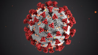 CDC Corona